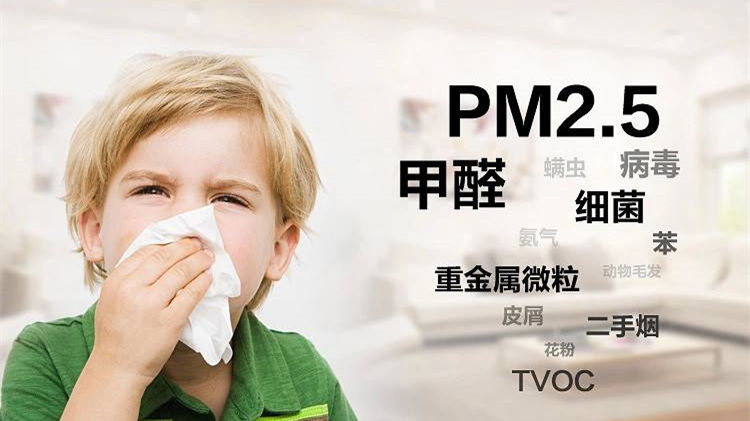誰說二手車沒有甲醛？汽車除甲醛最有效方法告訴您