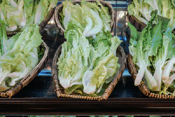 夏至高溫預(yù)警！消暑養(yǎng)生秘笈了解一下？