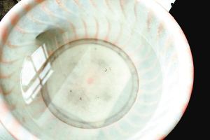 疫苗事件背后：您是否想過(guò)除甲醛產(chǎn)品也存在無(wú)效情況？