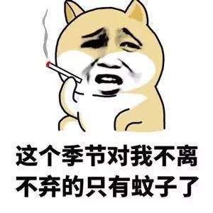 成分中有甲醛蚊香立馬變毒香，甚至還會致癌……