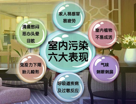 去甲醛加盟怎么樣？三點(diǎn)選址技巧讓您生意火爆