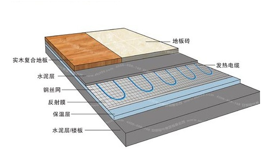 冬季，它們成了甲醛的幫兇