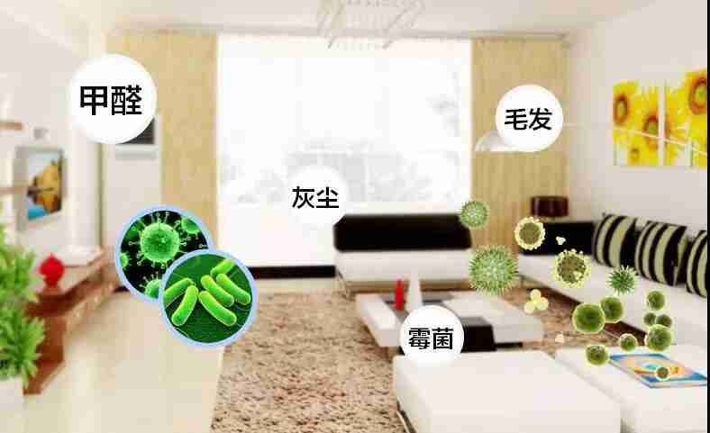 網(wǎng)上的除甲醛好辦法真的有效嗎？原理是什么
