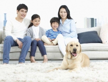 家里甲醛超標(biāo)怎么辦，受污染影響的人群有哪些