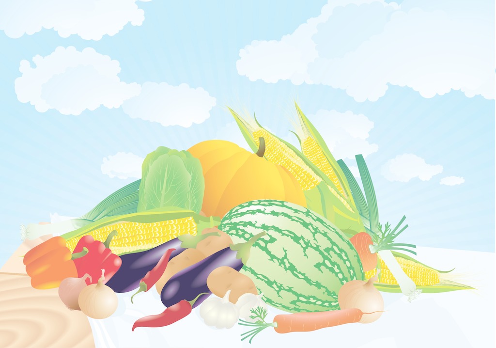 夏季找除甲醛公司有哪些需要注意的？