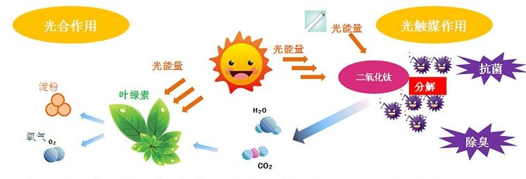 光觸媒去除房間甲醛爭議很大？
